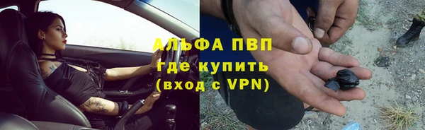 spice Богородск