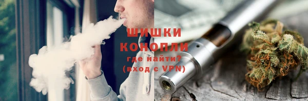spice Богородск