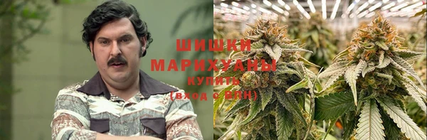 spice Богородск